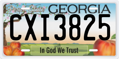 GA license plate CXI3825