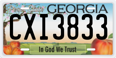 GA license plate CXI3833