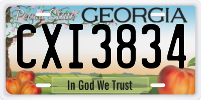 GA license plate CXI3834