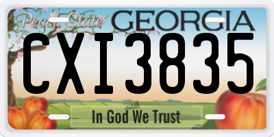 GA license plate CXI3835