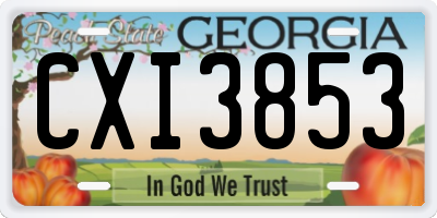 GA license plate CXI3853
