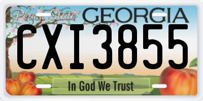 GA license plate CXI3855