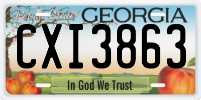 GA license plate CXI3863