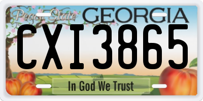 GA license plate CXI3865