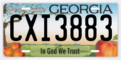 GA license plate CXI3883