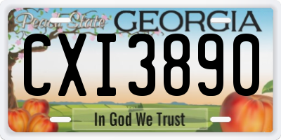 GA license plate CXI3890