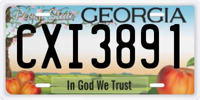 GA license plate CXI3891