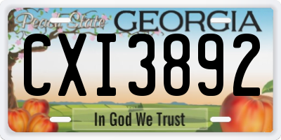 GA license plate CXI3892
