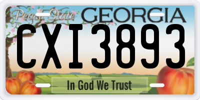 GA license plate CXI3893