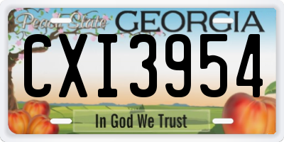 GA license plate CXI3954