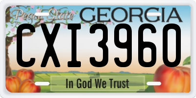 GA license plate CXI3960