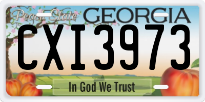 GA license plate CXI3973