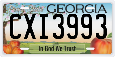 GA license plate CXI3993