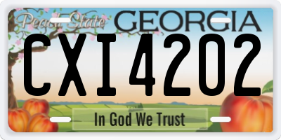 GA license plate CXI4202
