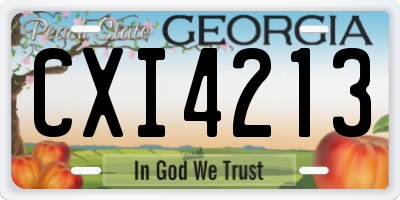 GA license plate CXI4213