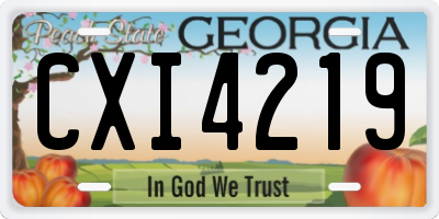 GA license plate CXI4219