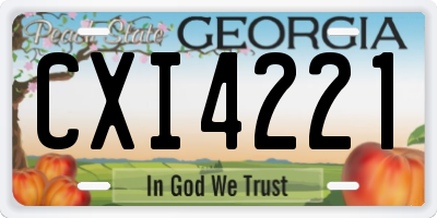 GA license plate CXI4221