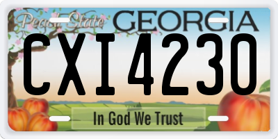 GA license plate CXI4230