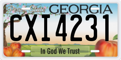 GA license plate CXI4231