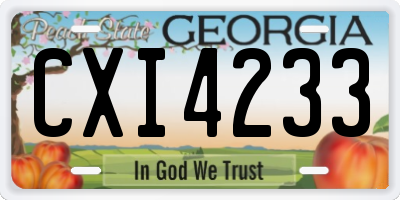 GA license plate CXI4233