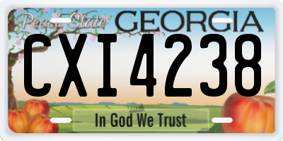GA license plate CXI4238