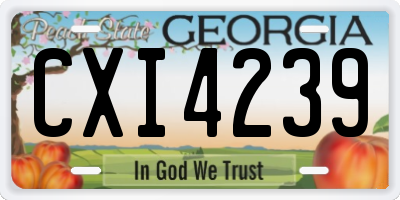 GA license plate CXI4239