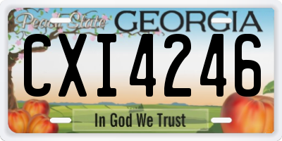 GA license plate CXI4246
