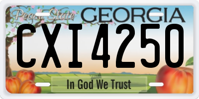 GA license plate CXI4250