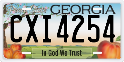 GA license plate CXI4254