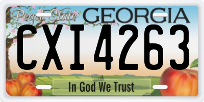 GA license plate CXI4263
