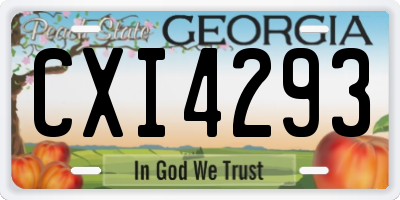 GA license plate CXI4293