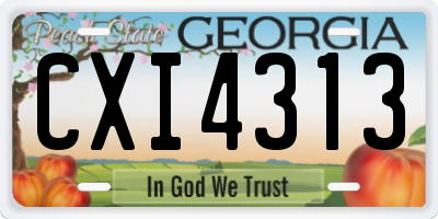 GA license plate CXI4313