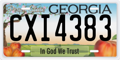 GA license plate CXI4383