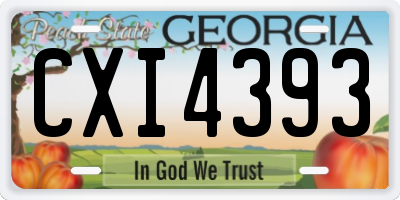 GA license plate CXI4393