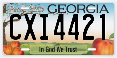 GA license plate CXI4421