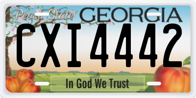 GA license plate CXI4442