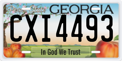 GA license plate CXI4493