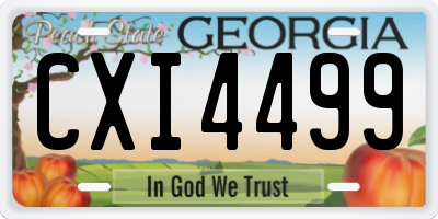 GA license plate CXI4499