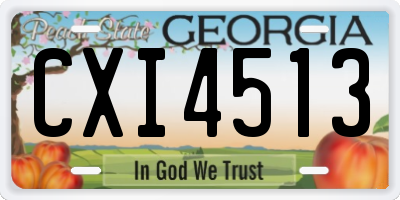 GA license plate CXI4513