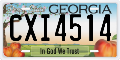 GA license plate CXI4514