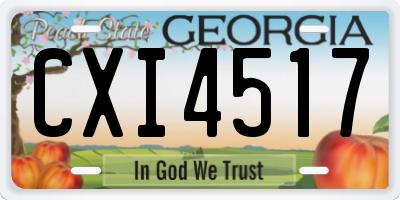 GA license plate CXI4517