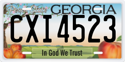 GA license plate CXI4523