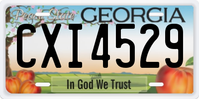 GA license plate CXI4529