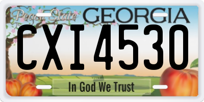 GA license plate CXI4530