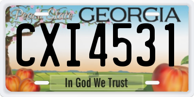 GA license plate CXI4531