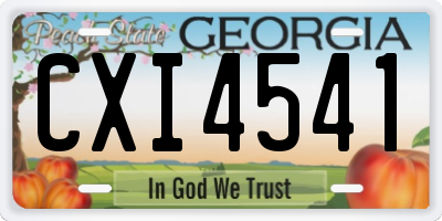 GA license plate CXI4541