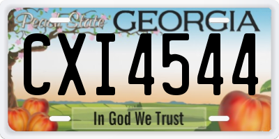 GA license plate CXI4544