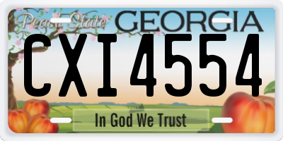 GA license plate CXI4554