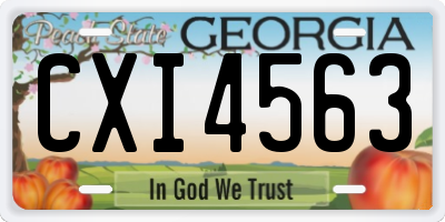 GA license plate CXI4563