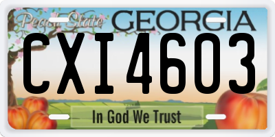 GA license plate CXI4603